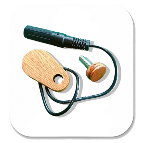 Microphone